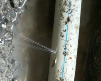 江门卫生间测漏水多少钱