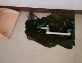 江门卫生间测漏水多少钱